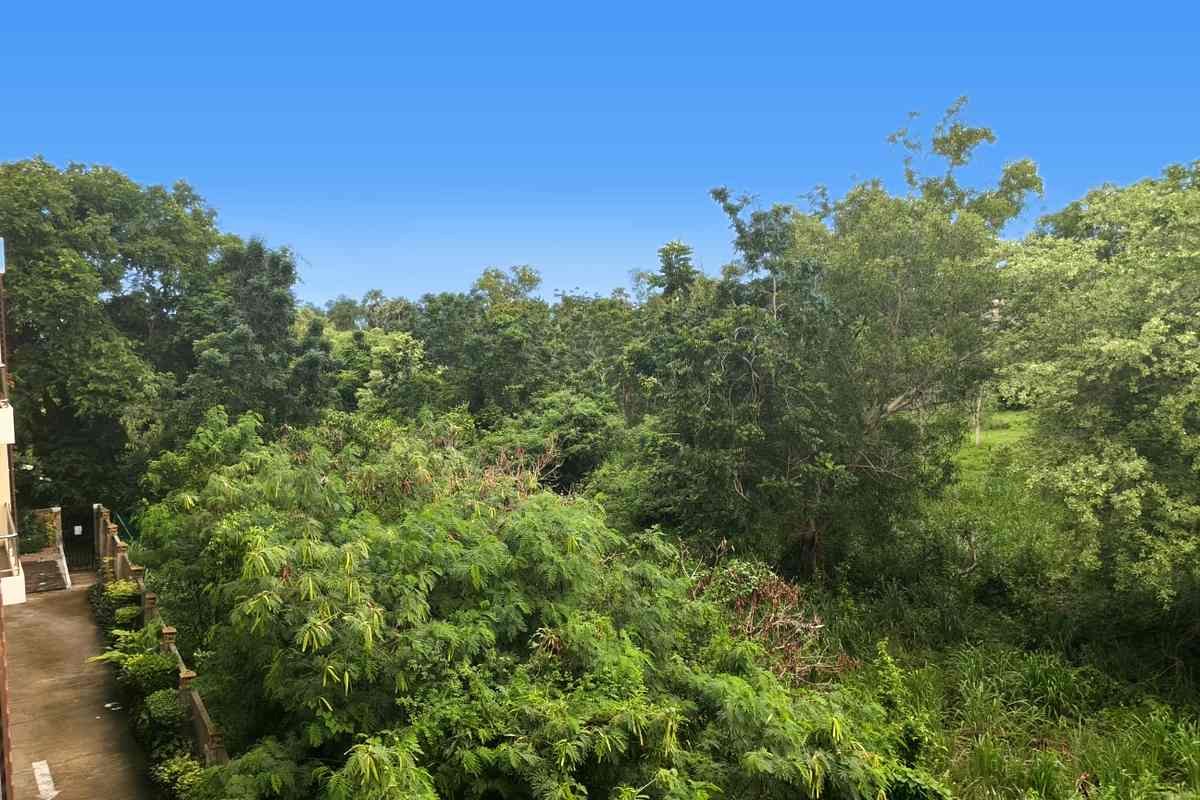 BSKY Middle floor – Jungle/Mountain Views